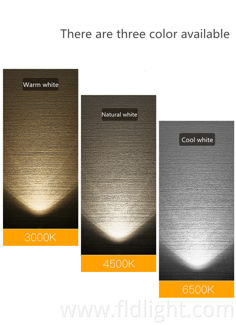  COB Ceiling Spot Lighting